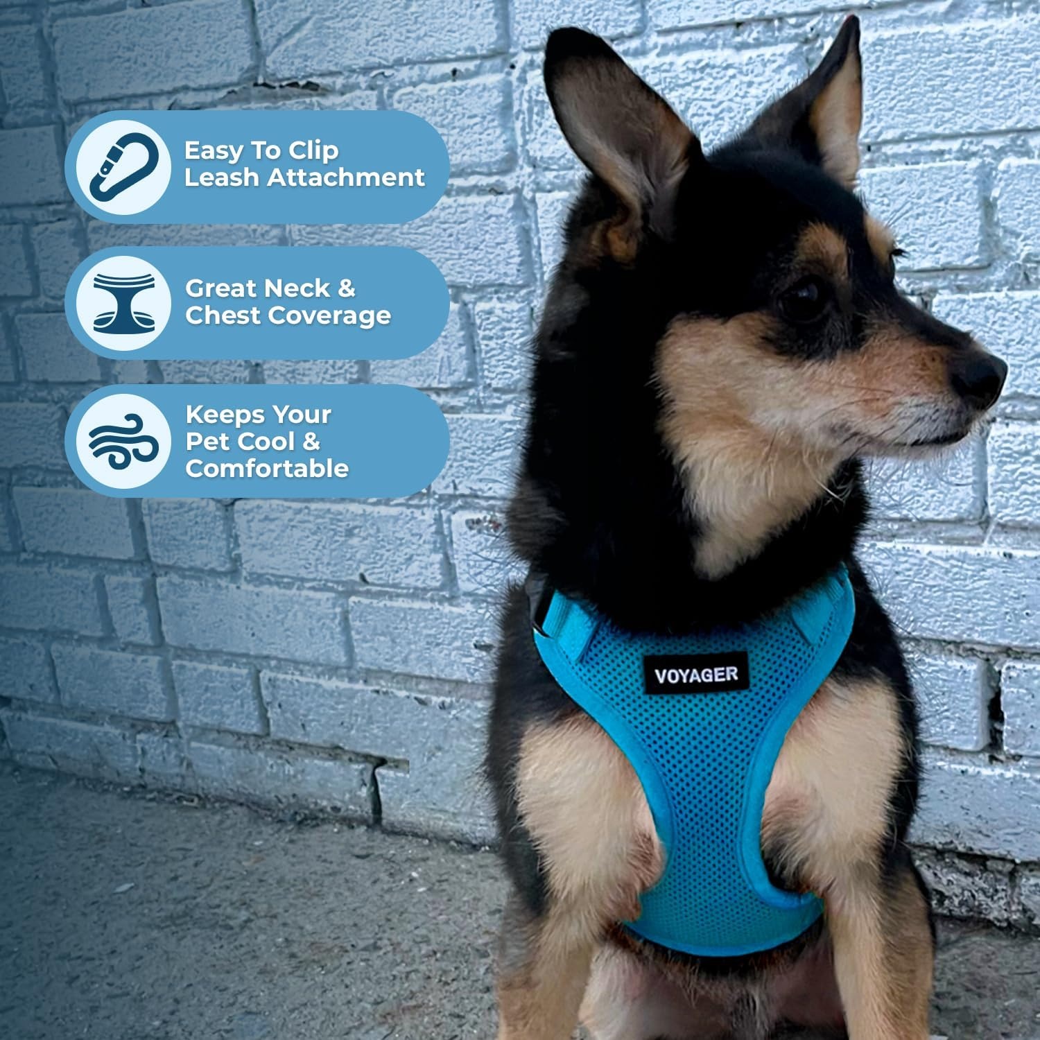 image:imageBest Pet Supplies Voyager Stepin Lock Pet Harness w Reflective Pet Leash Combo Set with Neoprene Handle 5ft Supports Small Medium and Large Breed PuppiesCats PurpleBlack Trim LHarness Leash Set Turquoise