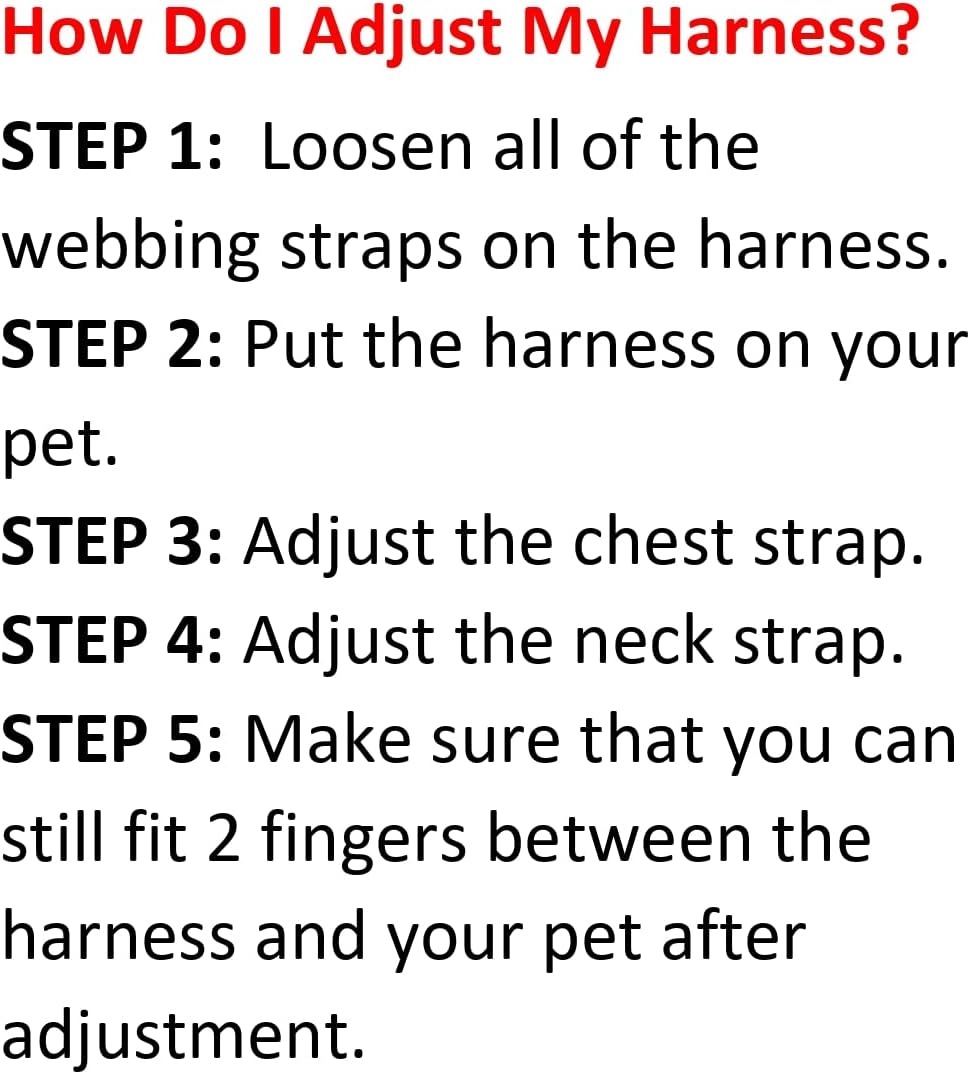 image:imageBest Pet Supplies Voyager Stepin Lock Pet Harness w Reflective Pet Leash Combo Set with Neoprene Handle 5ft Supports Small Medium and Large Breed PuppiesCats PurpleBlack Trim LHarness Leash Set TurquoiseBlack Trim