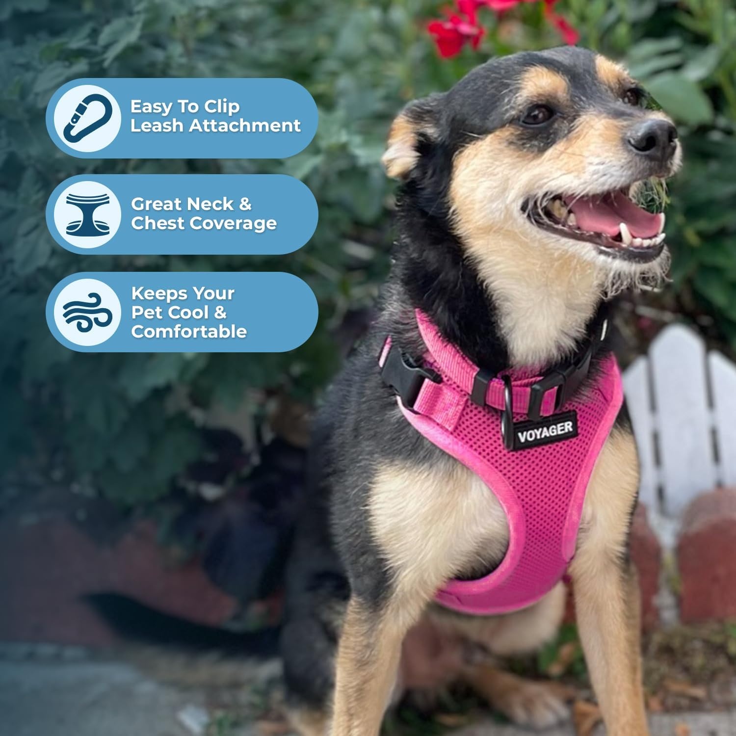 image:imageBest Pet Supplies Voyager Stepin Lock Pet Harness w Reflective Pet Leash Combo Set with Neoprene Handle 5ft Supports Small Medium and Large Breed PuppiesCats PurpleBlack Trim LHarness Leash Set Fuchsia