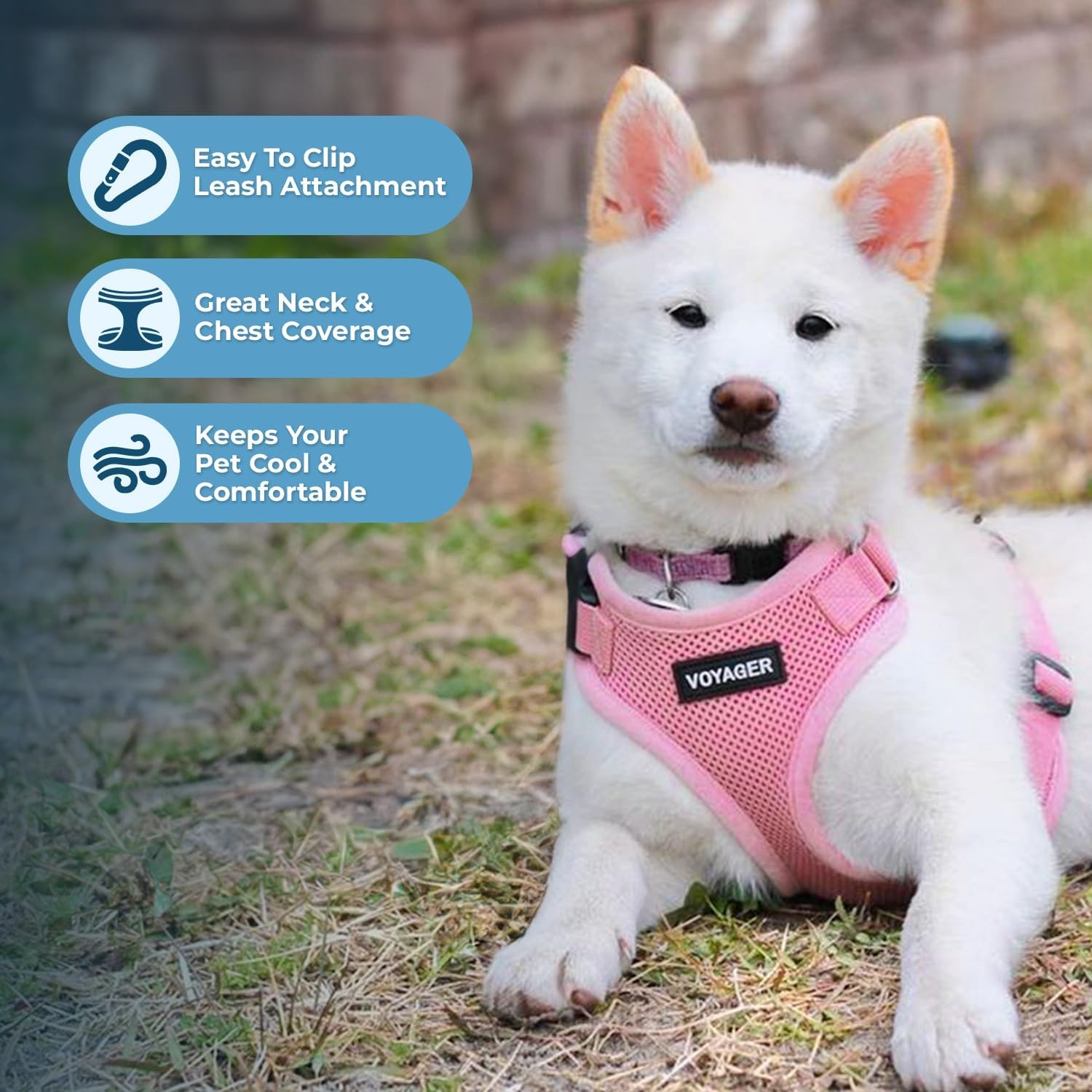 image:imageBest Pet Supplies Voyager Stepin Lock Pet Harness w Reflective Pet Leash Combo Set with Neoprene Handle 5ft Supports Small Medium and Large Breed PuppiesCats PurpleBlack Trim LHarness Leash Set Pink