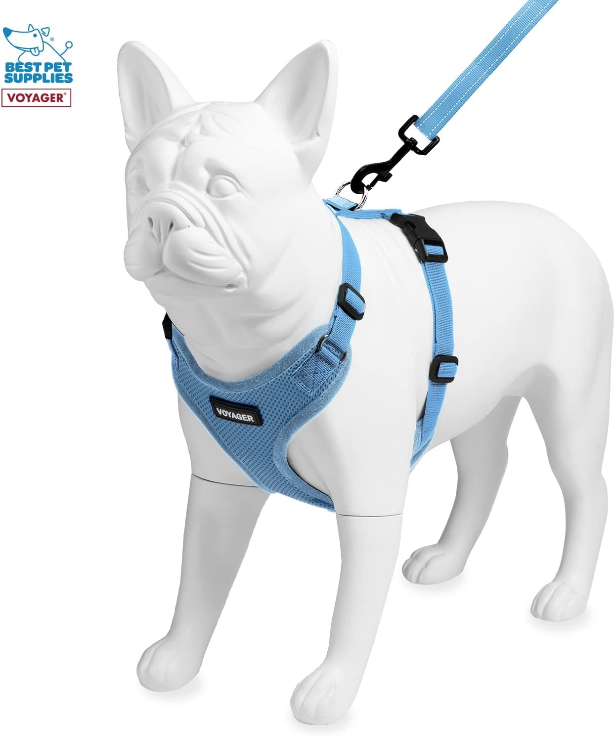 image:imageBest Pet Supplies Voyager Stepin Lock Pet Harness w Reflective Pet Leash Combo Set with Neoprene Handle 5ft Supports Small Medium and Large Breed PuppiesCats PurpleBlack Trim LHarness Leash Set Baby Blue