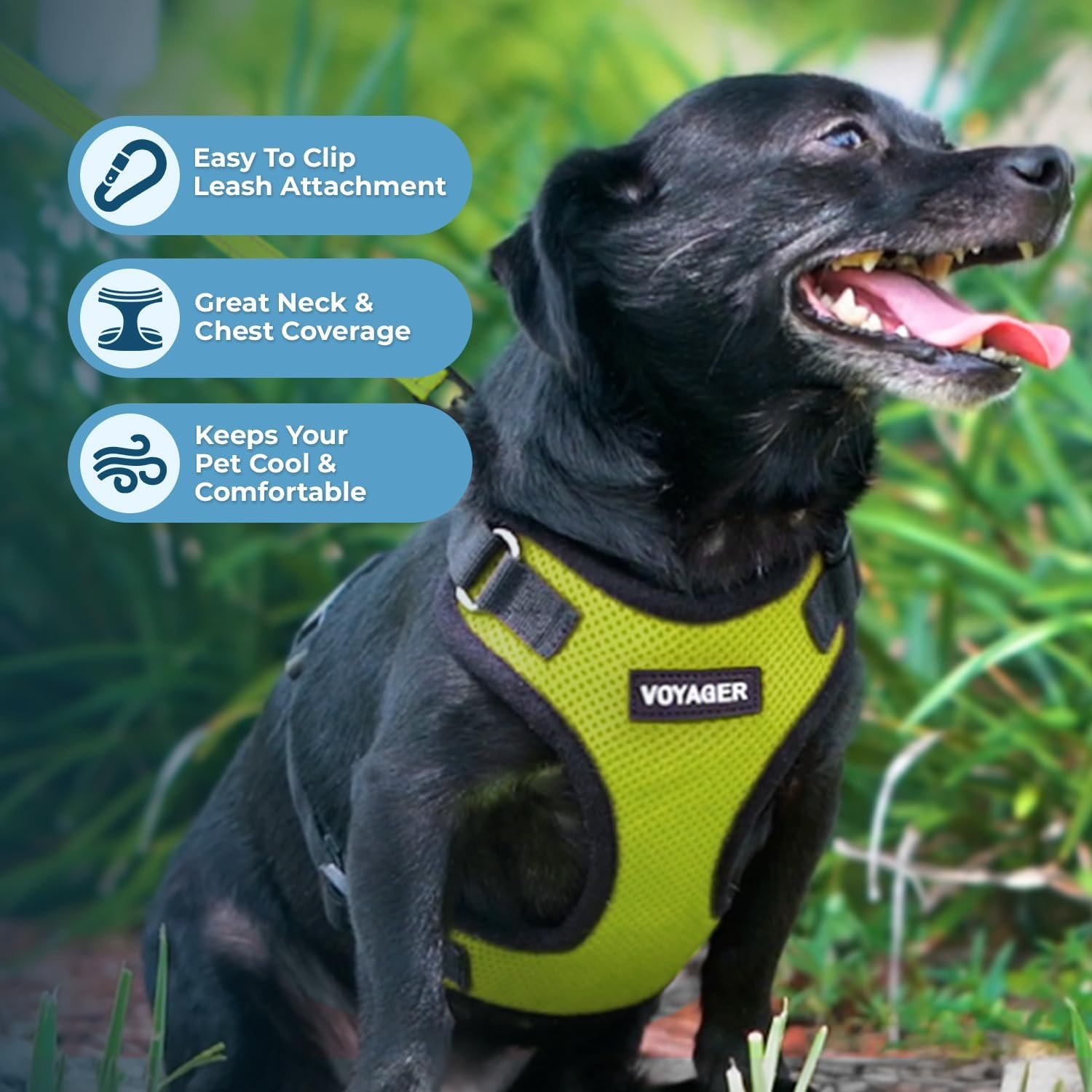 image:imageBest Pet Supplies Voyager Stepin Lock Pet Harness w Reflective Pet Leash Combo Set with Neoprene Handle 5ft Supports Small Medium and Large Breed PuppiesCats PurpleBlack Trim LHarness Leash Set Lime GreenBlack Trim