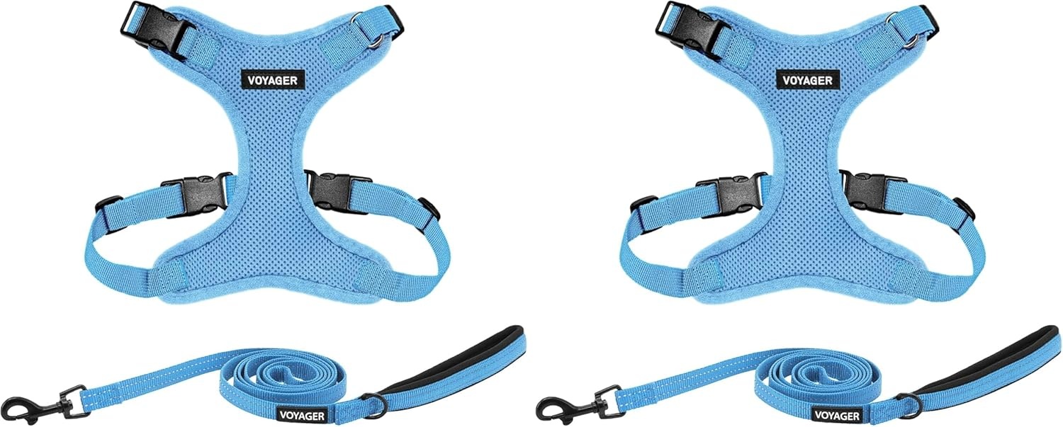 image:imageBest Pet Supplies Voyager Stepin Lock Pet Harness w Reflective Pet Leash Combo Set with Neoprene Handle 5ft Supports Small Medium and Large Breed PuppiesCats PurpleBlack Trim LHarness Leash Set Baby Blue