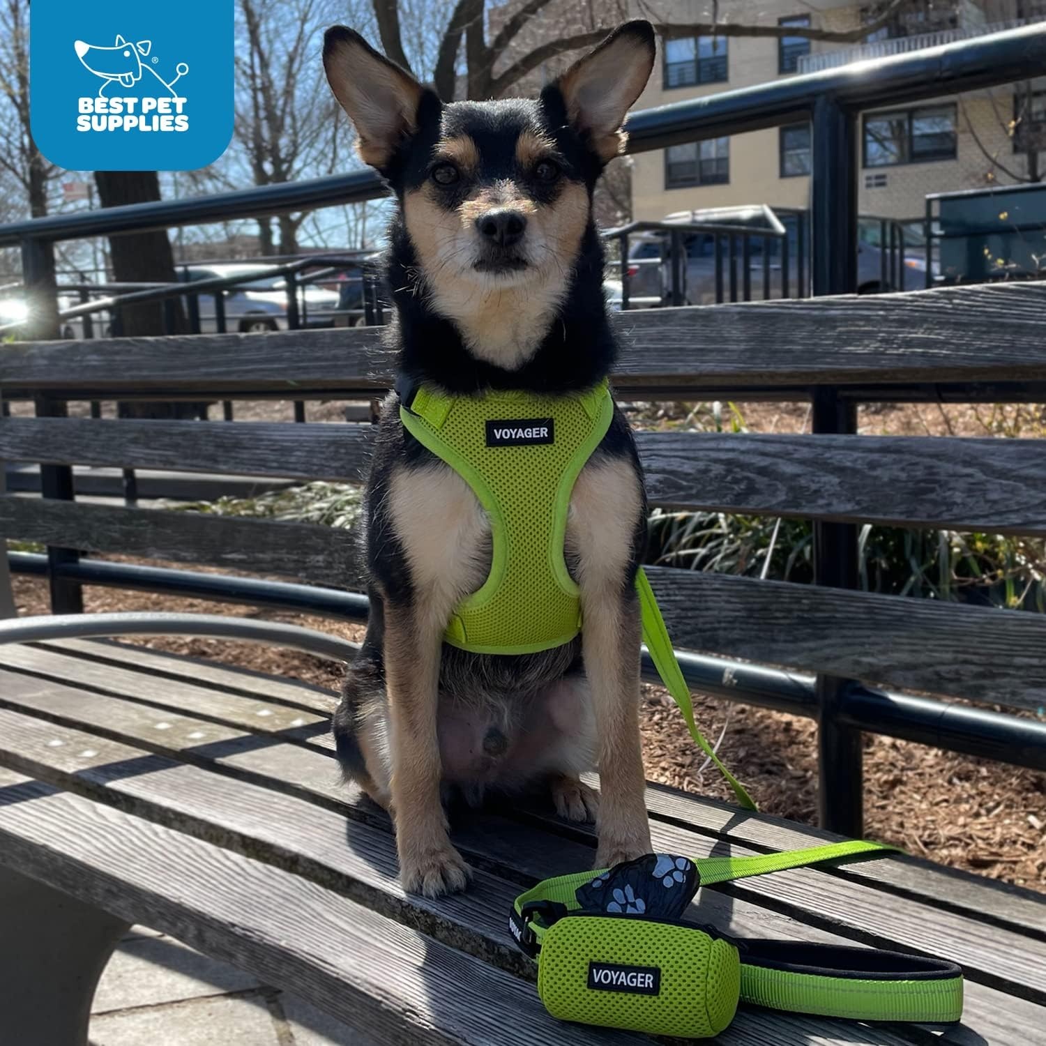 image:imageBest Pet Supplies Voyager Stepin Lock Pet Harness w Reflective Pet Leash Combo Set with Neoprene Handle 5ft Supports Small Medium and Large Breed PuppiesCats PurpleBlack Trim LHarness Leash Set Baby Blue