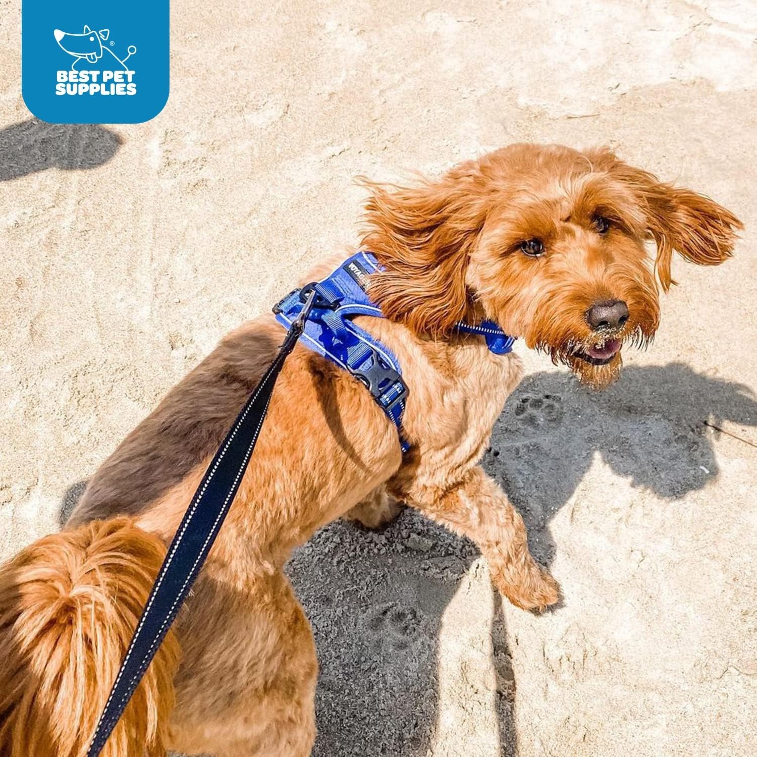 image:imageVoyager Dog Harness Dual Leash Attachment NoPull Control Adjustable Soft but Strong Pet Harness for Medium and Large Dogs with 3M Reflective Technology Leash Set Red Nylon M Chest 2025Royal Blue Lattice Nylon