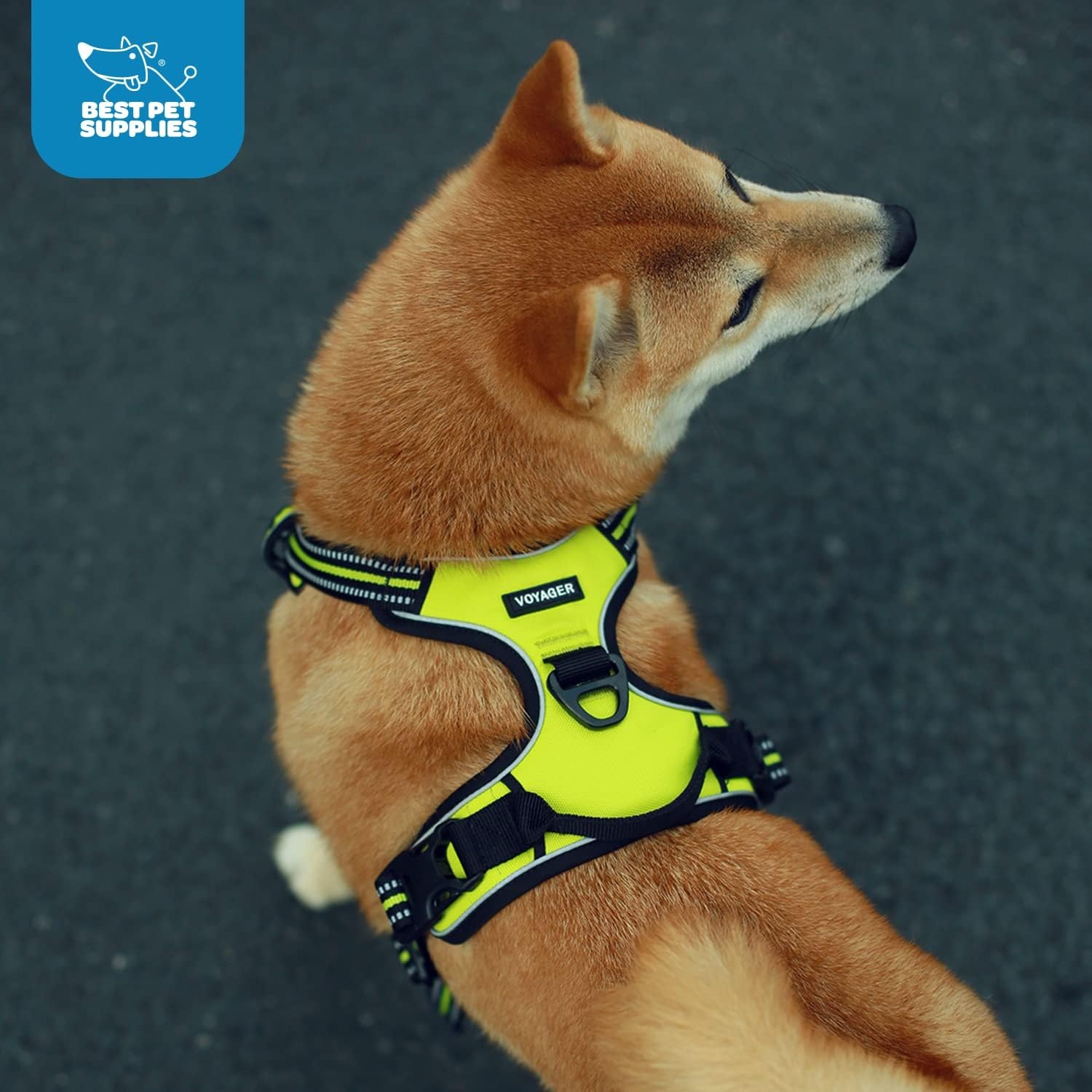 image:imageVoyager Dog Harness Dual Leash Attachment NoPull Control Adjustable Soft but Strong Pet Harness for Medium and Large Dogs with 3M Reflective Technology Leash Set Red Nylon M Chest 2025Turquoise Nylon