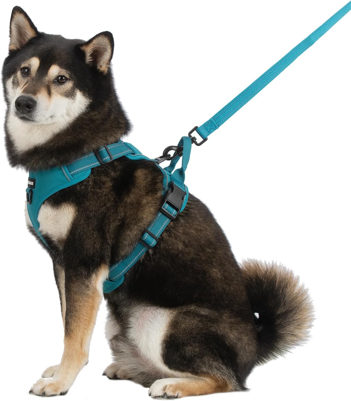 image:imageVoyager Dog Harness Dual Leash Attachment NoPull Control Adjustable Soft but Strong Pet Harness for Medium and Large Dogs with 3M Reflective Technology Leash Set Red Nylon M Chest 2025Turquoise Nylon