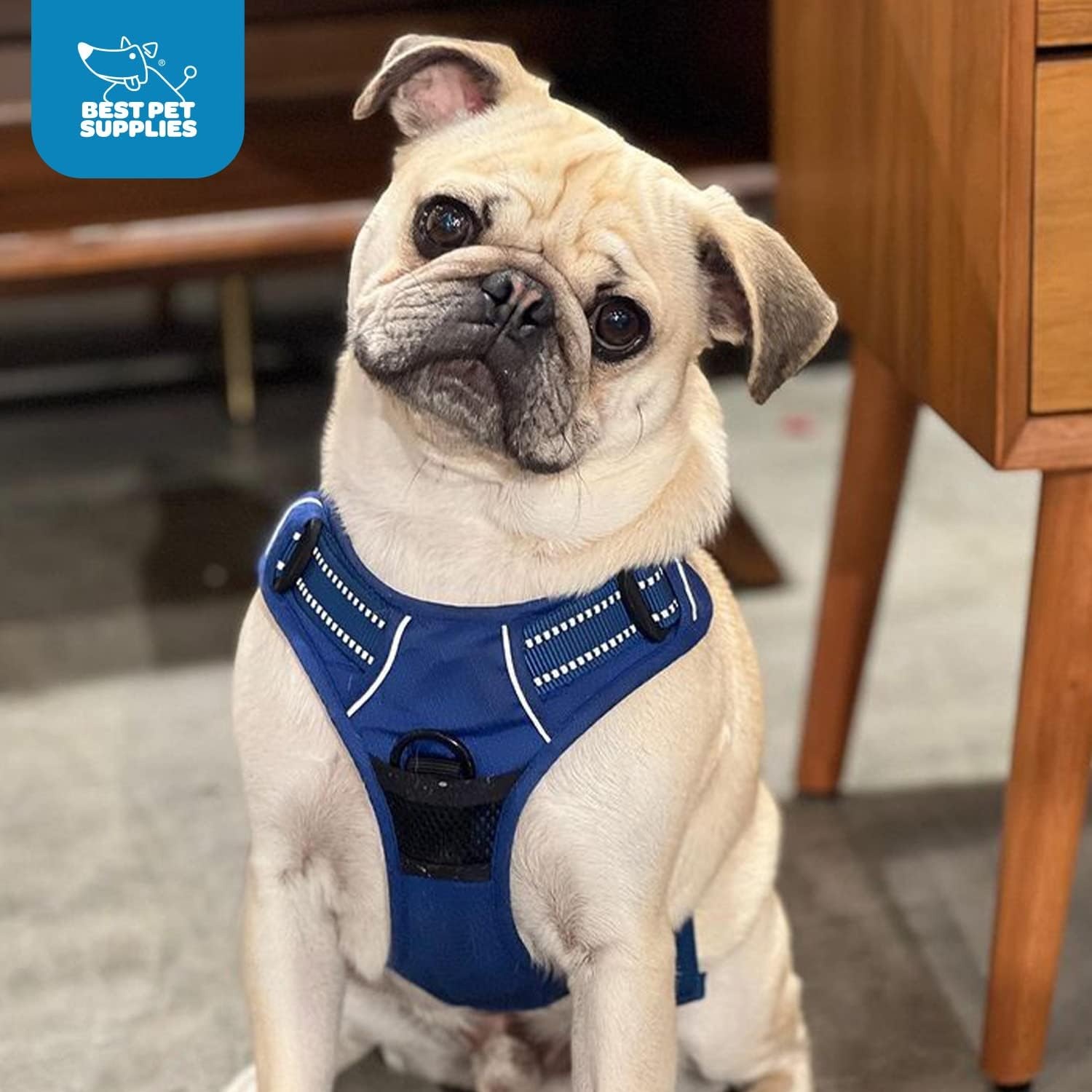 image:imageVoyager Dog Harness Dual Leash Attachment NoPull Control Adjustable Soft but Strong Pet Harness for Medium and Large Dogs with 3M Reflective Technology Leash Set Red Nylon M Chest 2025Royal Blue Lattice Nylon