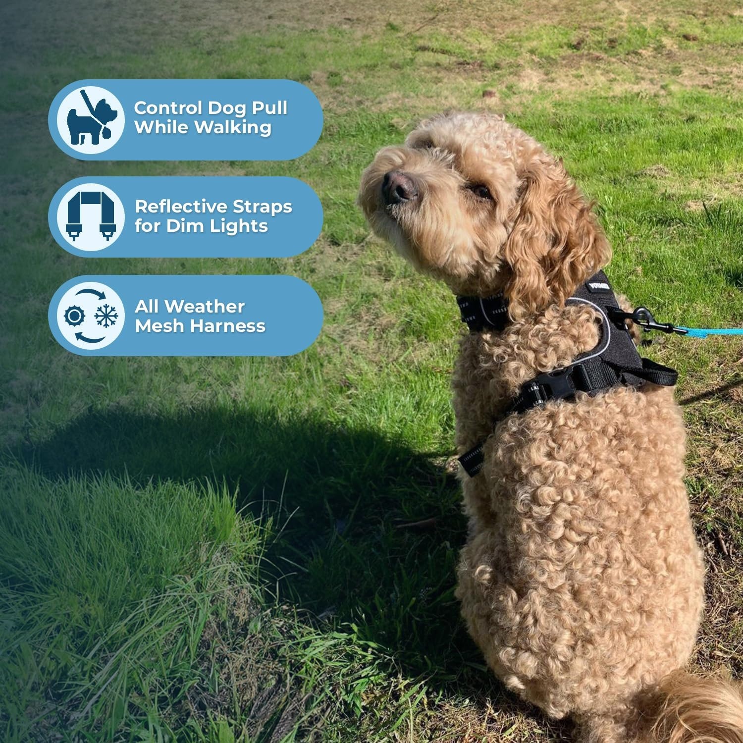 image:imageVoyager Dog Harness Dual Leash Attachment NoPull Control Adjustable Soft but Strong Pet Harness for Medium and Large Dogs with 3M Reflective Technology Leash Set Red Nylon M Chest 2025Leash Set Black Nylon