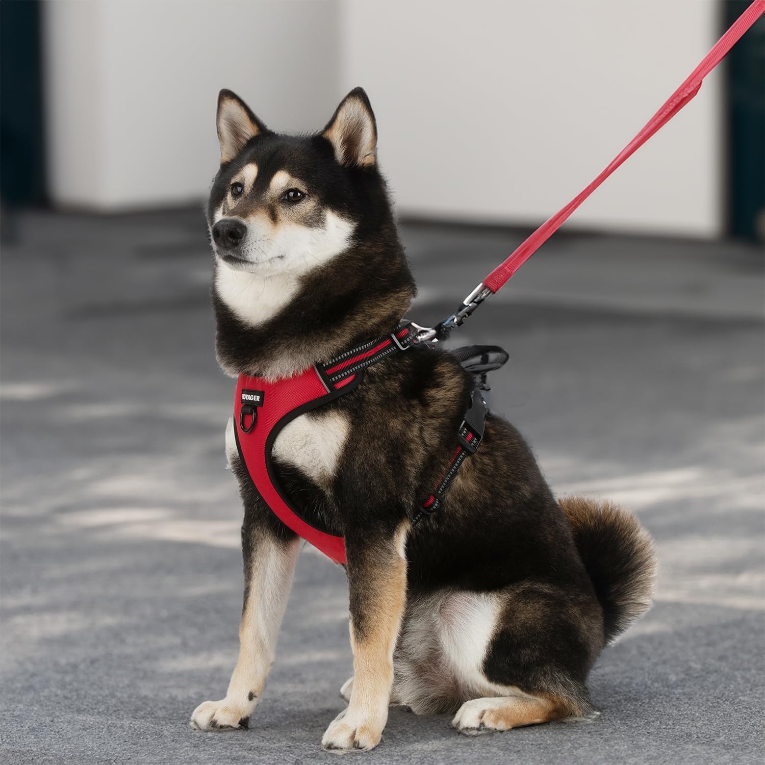 image:imageVoyager Dog Harness Dual Leash Attachment NoPull Control Adjustable Soft but Strong Pet Harness for Medium and Large Dogs with 3M Reflective Technology Leash Set Red Nylon M Chest 2025Leash Set Red Nylon