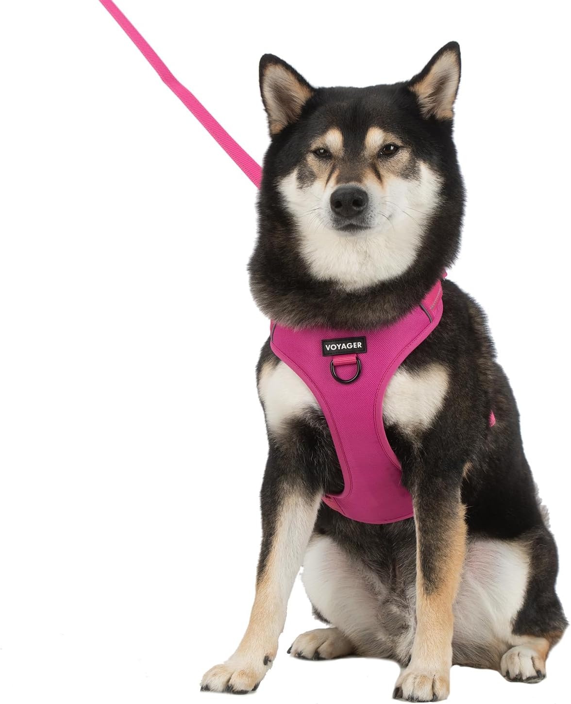 image:imageVoyager Dog Harness Dual Leash Attachment NoPull Control Adjustable Soft but Strong Pet Harness for Medium and Large Dogs with 3M Reflective Technology Leash Set Red Nylon M Chest 2025Fuchsia Nylon