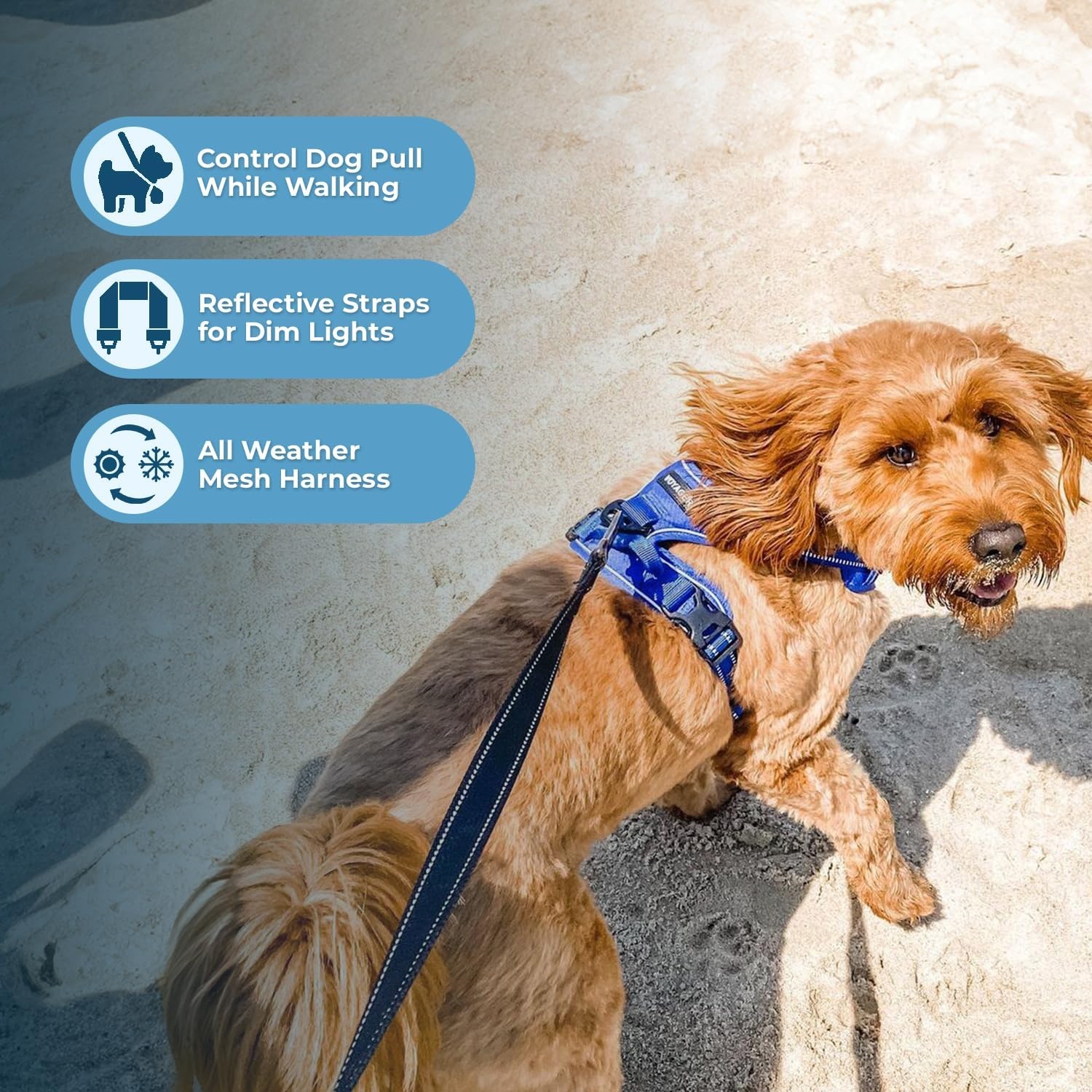 image:imageVoyager Dog Harness Dual Leash Attachment NoPull Control Adjustable Soft but Strong Pet Harness for Medium and Large Dogs with 3M Reflective Technology Leash Set Red Nylon M Chest 2025Leash Set Royal Nylon