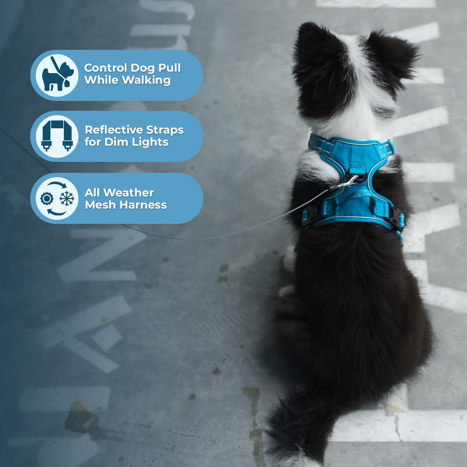 image:imageVoyager Dog Harness Dual Leash Attachment NoPull Control Adjustable Soft but Strong Pet Harness for Medium and Large Dogs with 3M Reflective Technology Leash Set Red Nylon M Chest 2025Leash Set Turquoise Nylon