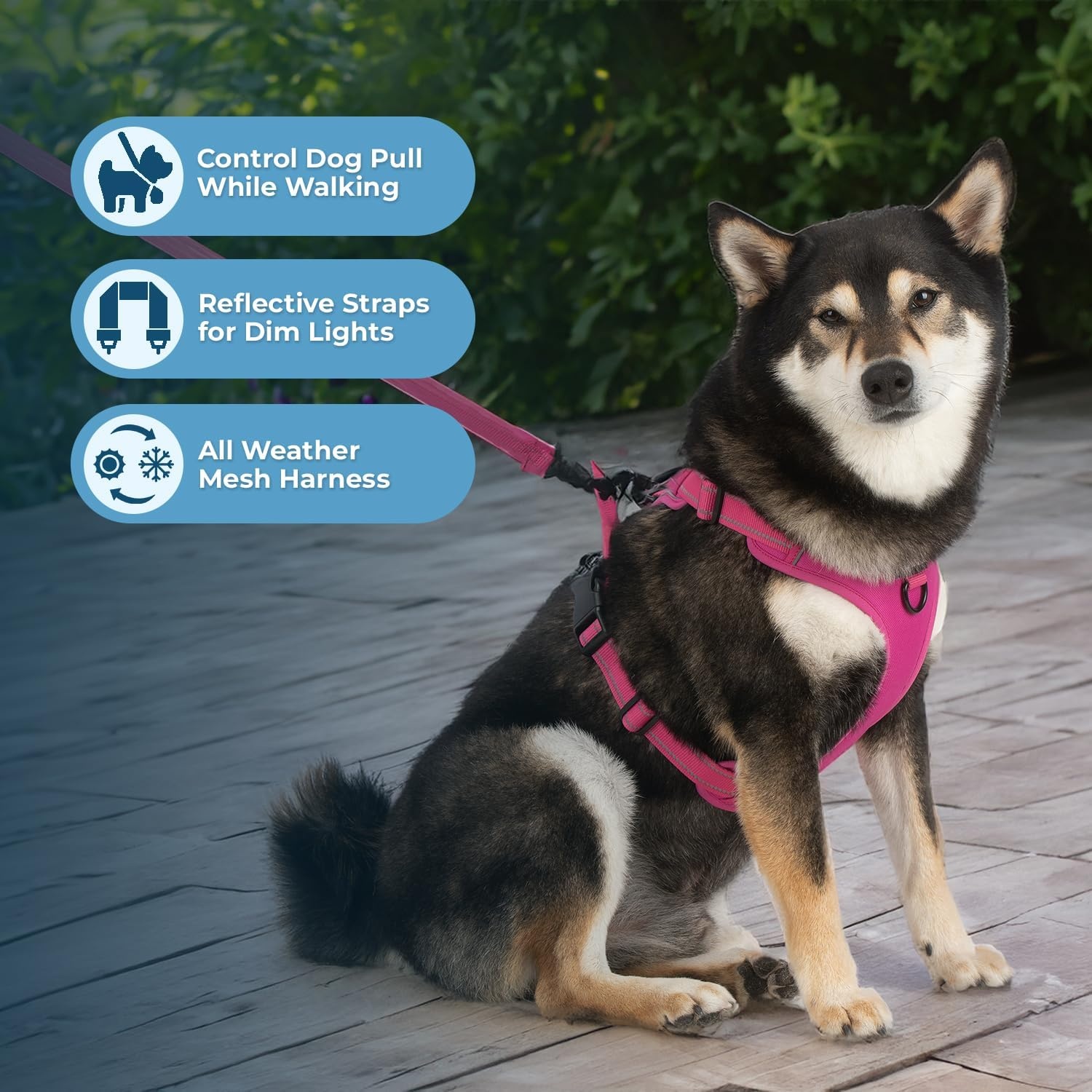 image:imageVoyager Dog Harness Dual Leash Attachment NoPull Control Adjustable Soft but Strong Pet Harness for Medium and Large Dogs with 3M Reflective Technology Leash Set Red Nylon M Chest 2025Fuchsia Nylon