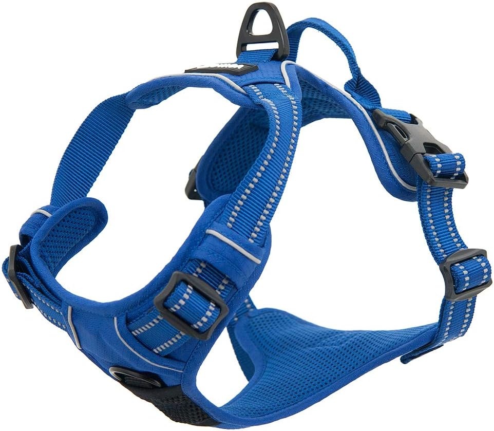 image:imageVoyager Dog Harness Dual Leash Attachment NoPull Control Adjustable Soft but Strong Pet Harness for Medium and Large Dogs with 3M Reflective Technology Leash Set Red Nylon M Chest 2025Royal Blue Lattice Nylon