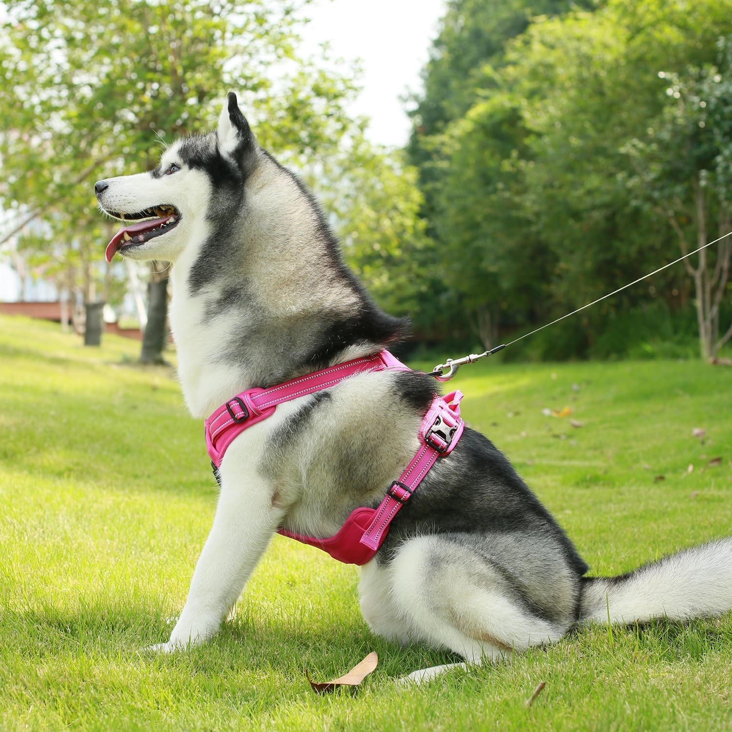 image:imageVoyager Dog Harness Dual Leash Attachment NoPull Control Adjustable Soft but Strong Pet Harness for Medium and Large Dogs with 3M Reflective Technology Leash Set Red Nylon M Chest 2025Fuchsia Nylon