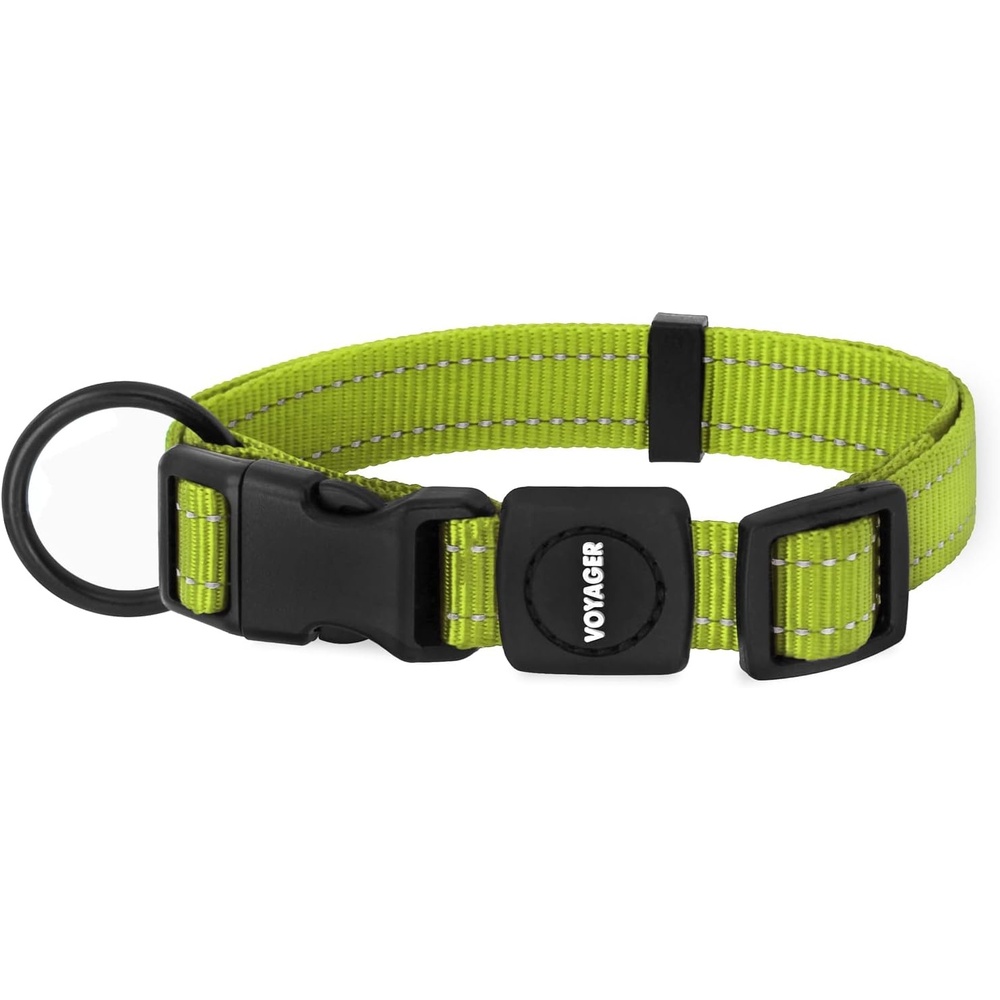image:imageBest Pet Supplies Voyager Reflective Dog Leash or Collar with Neoprene Handle for Small Medium and Large Breed Puppies Cute and Heavy Duty for Walking Running and Training Royal Blue MCollar Lime Green