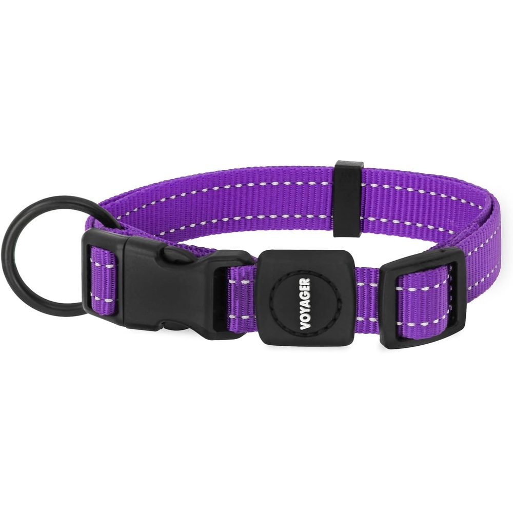 image:imageBest Pet Supplies Voyager Reflective Dog Leash or Collar with Neoprene Handle for Small Medium and Large Breed Puppies Cute and Heavy Duty for Walking Running and Training Royal Blue MCollar Purple