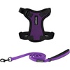 Harness Leash Set (Purple/Black Trim)