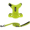 Harness Leash Set (Lime Green)