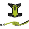 Harness Leash Set (Lime Green/Black Trim)