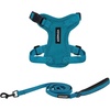 Harness Leash Set (Turquoise)