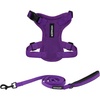 Harness Leash Set (Purple)
