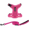 Harness Leash Set (Fuchsia)