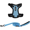 Harness Leash Set (Baby Blue/Black Trim)