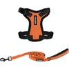 Harness Leash Set (Orange/Black Trim)