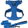 Leash Set Royal Nylon