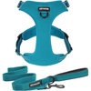 Leash Set Turquoise Nylon