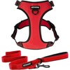 Leash Set Red Nylon