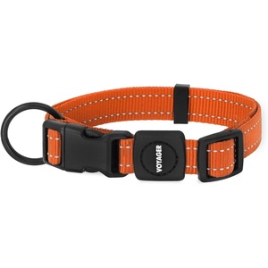 image:imageBest Pet Supplies Voyager Reflective Dog Leash or Collar with Neoprene Handle for Small Medium and Large Breed Puppies Cute and Heavy Duty for Walking Running and Training  Royal Blue MCollar Orange