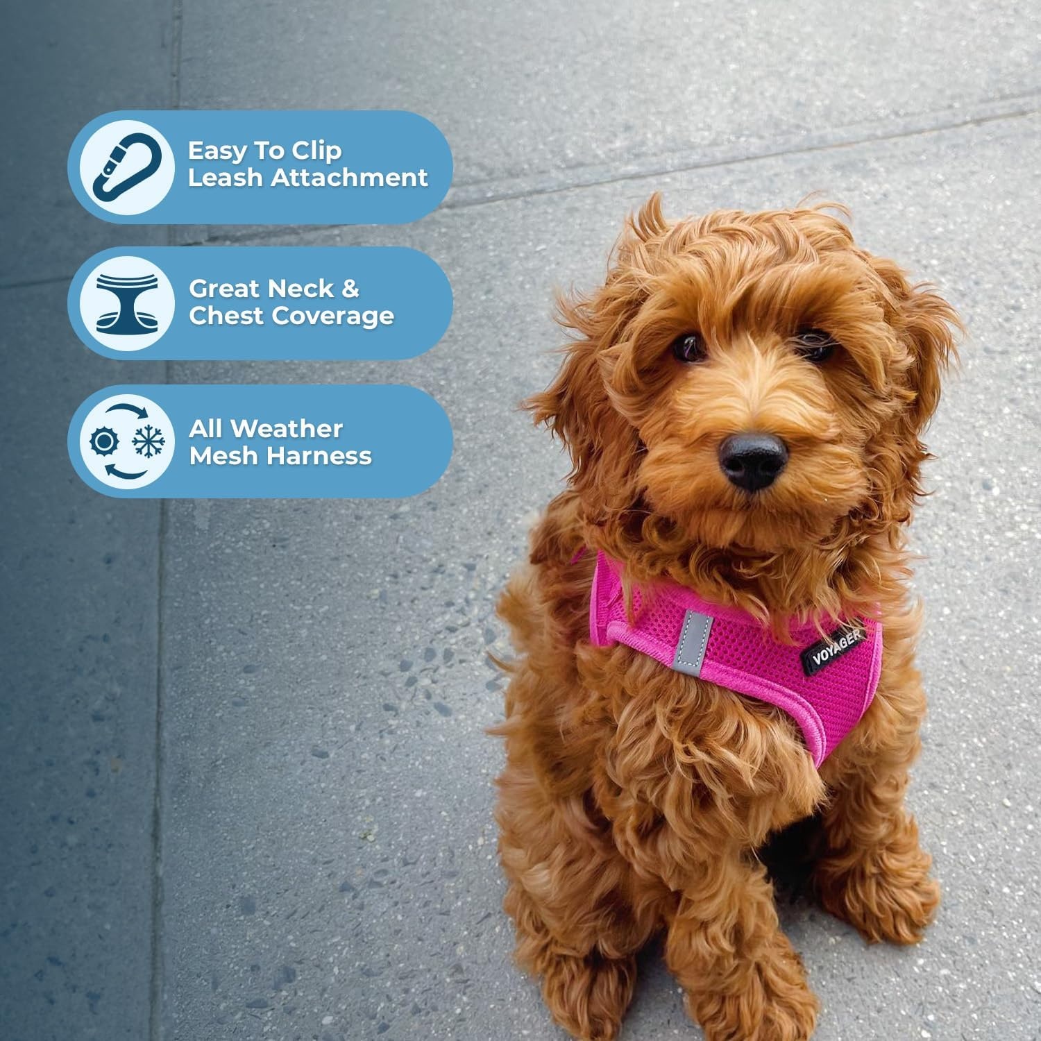 image:imageBest Pet Supplies Voyager Stepin Air All Weather Mesh Harness and Reflective Dog 5ft Leash Combo with Neoprene Handle for Small Medium and Large Breed Puppies OrangeBlack Trim SmallHarness Leash Set Fuchsia