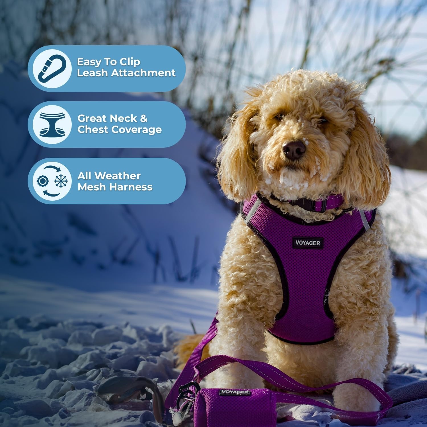 image:imageBest Pet Supplies Voyager Stepin Air All Weather Mesh Harness and Reflective Dog 5ft Leash Combo with Neoprene Handle for Small Medium and Large Breed Puppies OrangeBlack Trim SmallPurpleBlack Trim