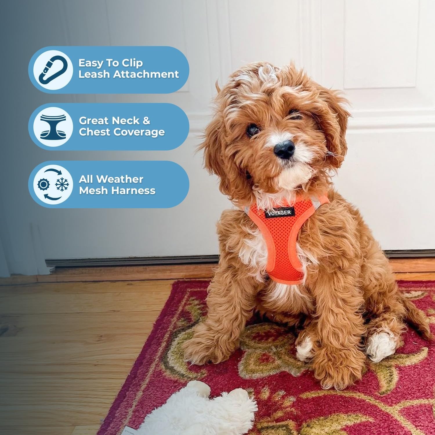 image:imageBest Pet Supplies Voyager Stepin Air All Weather Mesh Harness and Reflective Dog 5ft Leash Combo with Neoprene Handle for Small Medium and Large Breed Puppies OrangeBlack Trim SmallHarness Leash Set Orange