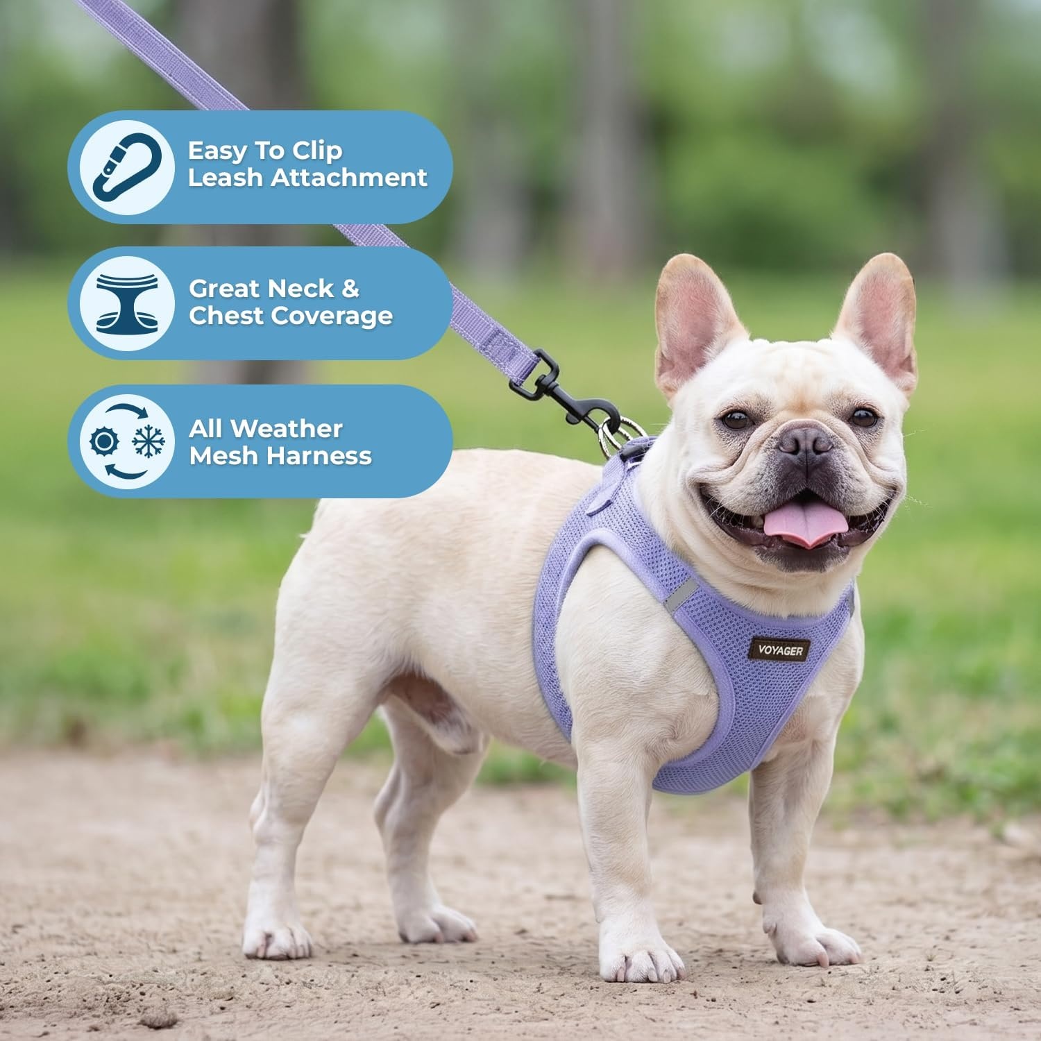image:imageBest Pet Supplies Voyager Stepin Air All Weather Mesh Harness and Reflective Dog 5ft Leash Combo with Neoprene Handle for Small Medium and Large Breed Puppies OrangeBlack Trim SmallLavender