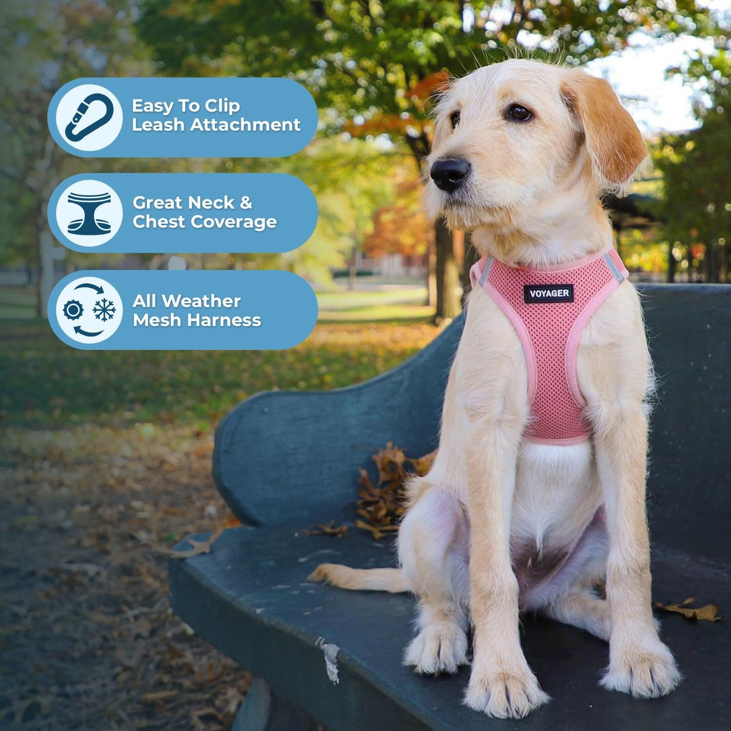 image:imageBest Pet Supplies Voyager Stepin Air All Weather Mesh Harness and Reflective Dog 5ft Leash Combo with Neoprene Handle for Small Medium and Large Breed Puppies OrangeBlack Trim SmallHarness Leash Set Pink