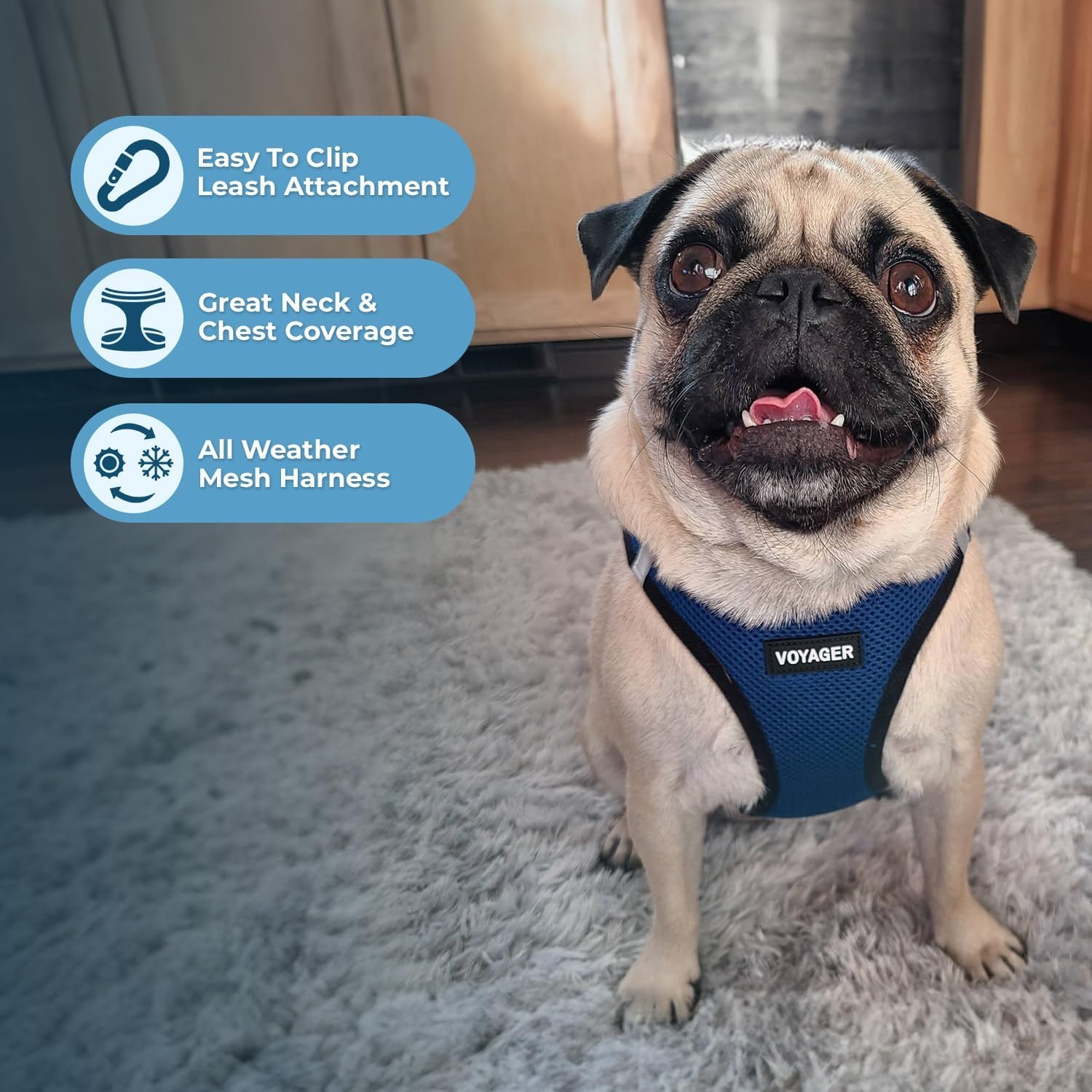 image:imageBest Pet Supplies Voyager Stepin Air All Weather Mesh Harness and Reflective Dog 5ft Leash Combo with Neoprene Handle for Small Medium and Large Breed Puppies OrangeBlack Trim SmallBlueBlack Trim