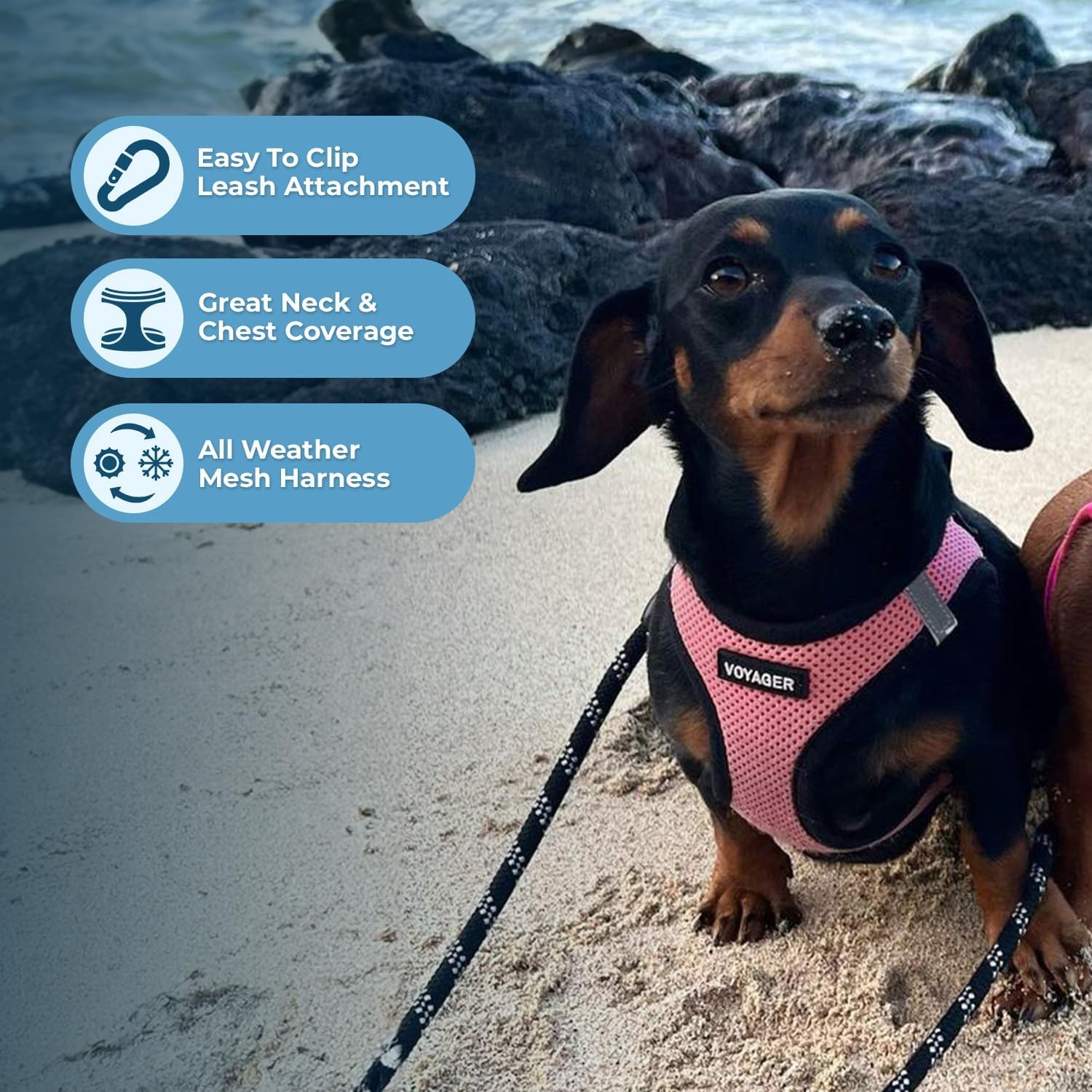 image:imageBest Pet Supplies Voyager Stepin Air All Weather Mesh Harness and Reflective Dog 5ft Leash Combo with Neoprene Handle for Small Medium and Large Breed Puppies OrangeBlack Trim SmallPinkBlack Trim