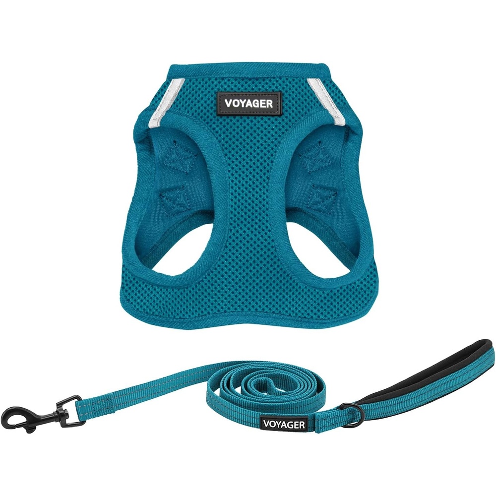 image:imageBest Pet Supplies Voyager Stepin Air All Weather Mesh Harness and Reflective Dog 5ft Leash Combo with Neoprene Handle for Small Medium and Large Breed Puppies OrangeBlack Trim SmallHarness Leash Set Turquoise