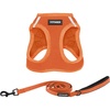 Harness Leash Set (Orange)