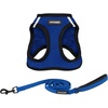Royal Blue/Black Trim