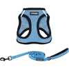 Baby Blue/Black Trim