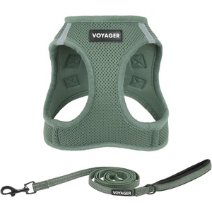 image:imageBest Pet Supplies Voyager Stepin Air All Weather Mesh Harness and Reflective Dog 5ft Leash Combo with Neoprene Handle for Small Medium and Large Breed Puppies  OrangeBlack Trim SmallMoss Green