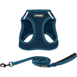 image:imageBest Pet Supplies Voyager Stepin Air All Weather Mesh Harness and Reflective Dog 5ft Leash Combo with Neoprene Handle for Small Medium and Large Breed Puppies  OrangeBlack Trim SmallHarness Leash Set Blue