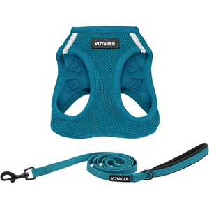 image:imageBest Pet Supplies Voyager Stepin Air All Weather Mesh Harness and Reflective Dog 5ft Leash Combo with Neoprene Handle for Small Medium and Large Breed Puppies  OrangeBlack Trim SmallHarness Leash Set Turquoise