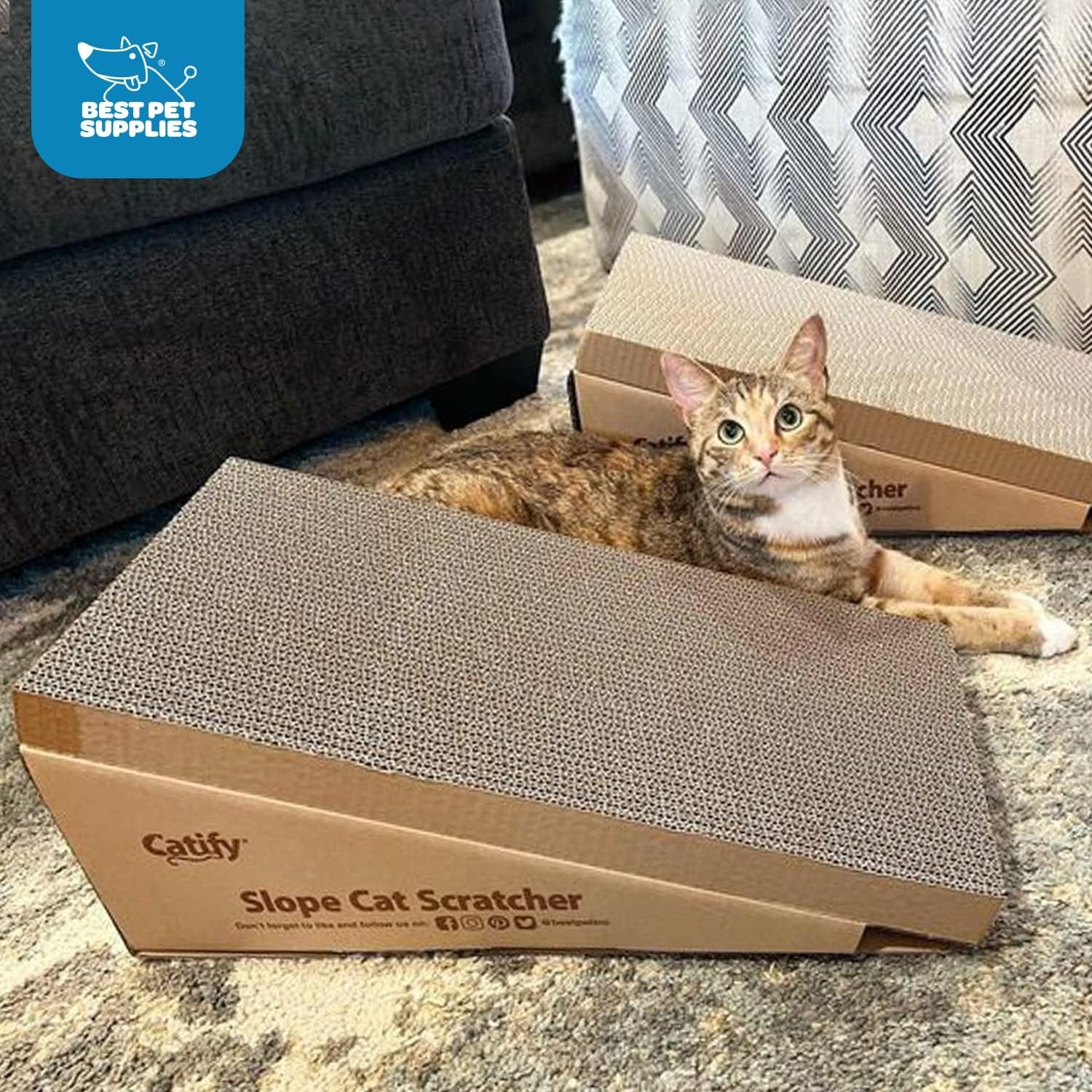 image:imageBest Pet Supplies Catify Cat Scratcher Fun Interactive Scratchers Posts Poles Claw Safe Furniture Saver Indoor Play Support Natural Cat Behaviors Heavy Duty Beige LogSlope 2 Pack