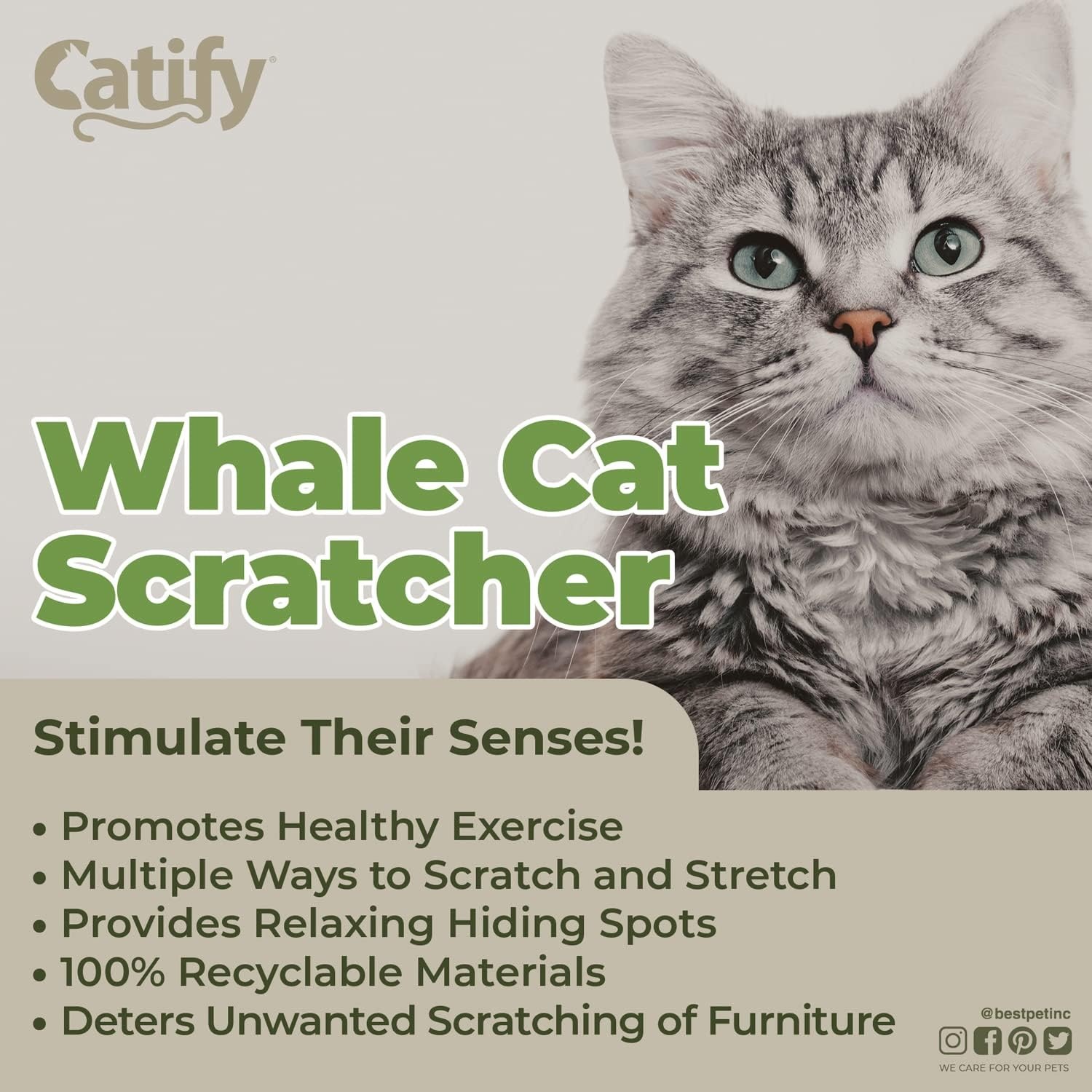 image:imageBest Pet Supplies Catify Cat Scratcher Fun Interactive Scratchers Posts Poles Claw Safe Furniture Saver Indoor Play Support Natural Cat Behaviors Heavy Duty Beige LogWhale